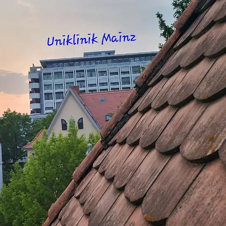 Zentrales, Charmantes An Der Universitaetsklinik Mainz