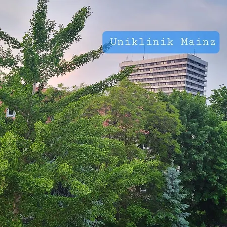 Zentrales, Charmantes An Der Universitaetsklinik Homestay