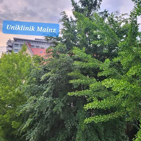 Zentrales, Charmantes An Der Universitaetsklinik