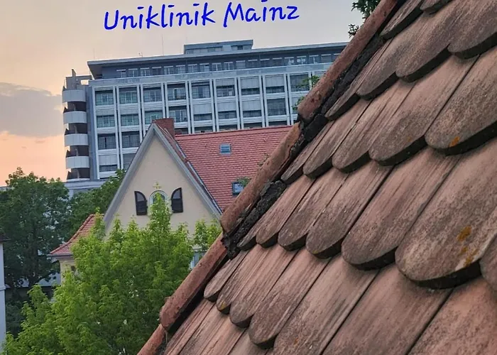 Zentrales, Charmantes An Der Universitaetsklinik 美因茨